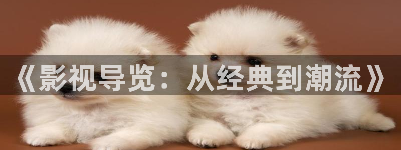 光棍影院手机免费