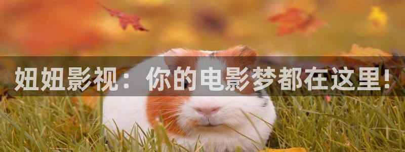 光棍影院午夜片：妞妞影视：你的电影梦都在这里!