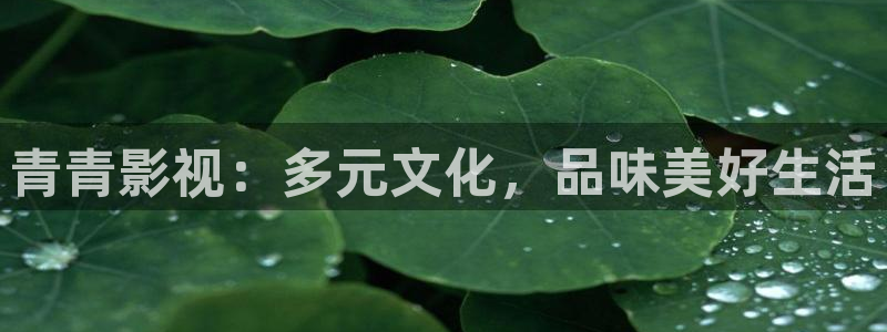 .光棍影院：青青影视：多元文化，品味美好生活
