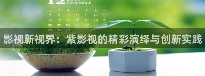 光棍影院免费观看视频伦理片：影视新视界：紫影视的精彩演绎与创新实践