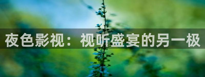 光棍影院a：夜色影视：视听盛宴的另一极